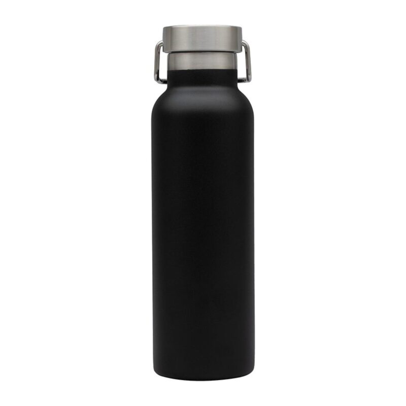 Splendid 22 oz. Double Wall Stainless Steel Bottle - 1