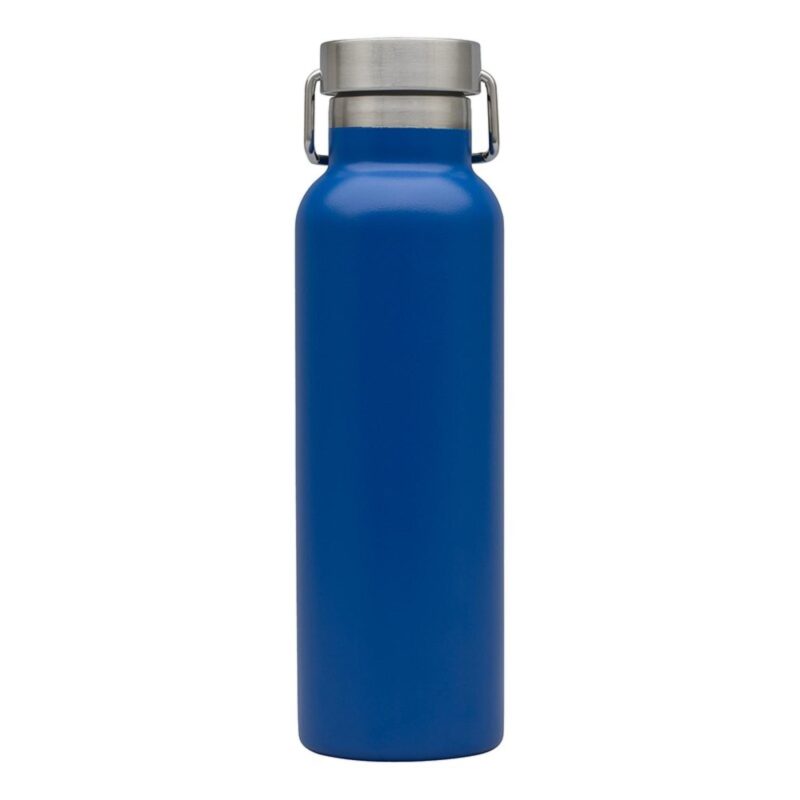 Splendid 22 oz. Double Wall Stainless Steel Bottle - 2