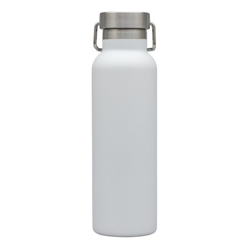 Splendid 22 oz. Double Wall Stainless Steel Bottle - 4