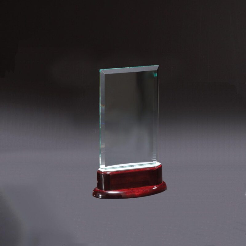 Statute Medium Award - 1
