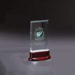 Statute Medium Award - 2