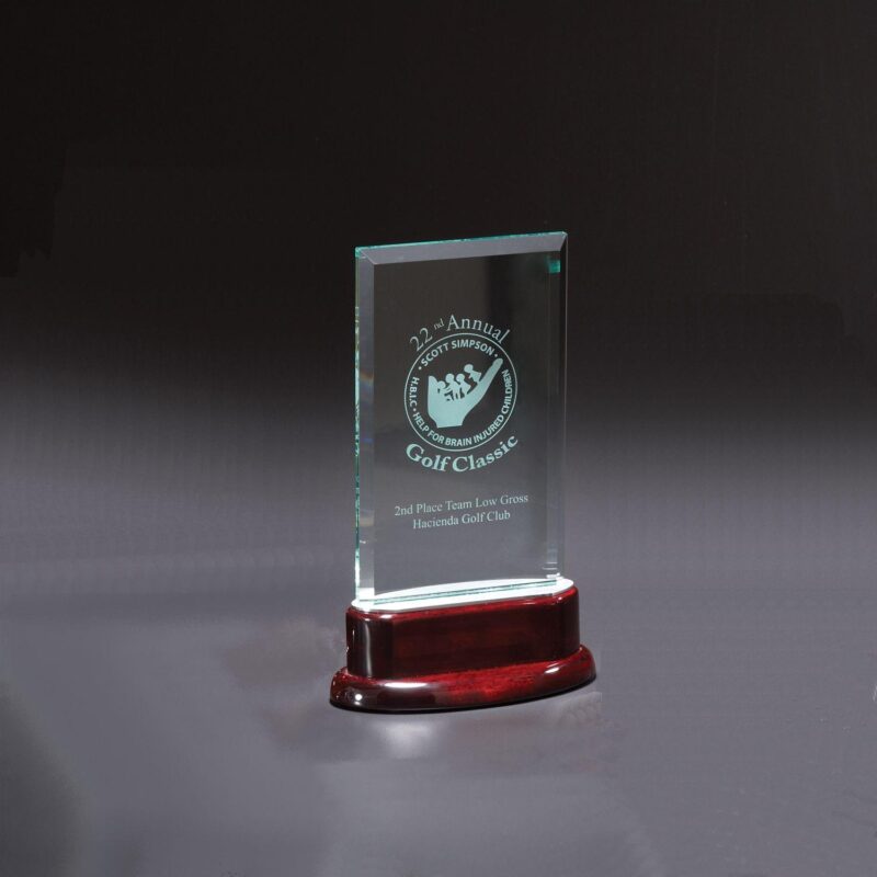 Statute Medium Award - 2