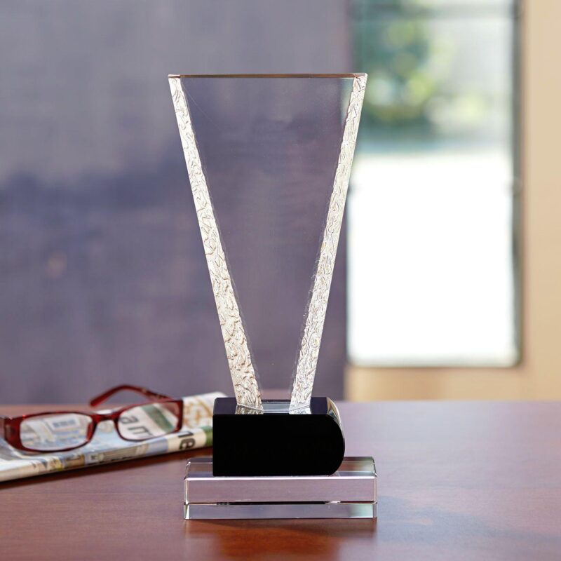 Vindication Award - 3