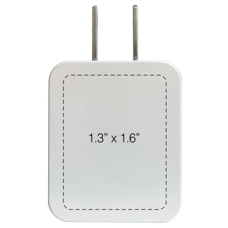 iPort Plus Wall Charger - 2