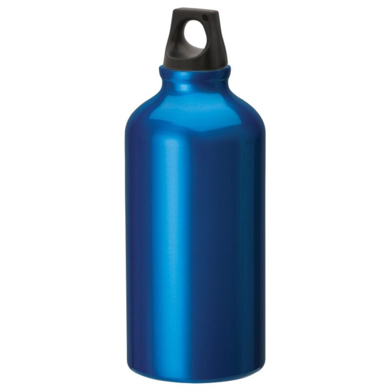 Sonia 16.9 oz. Flask with Twist Top - 1