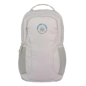 Cadence Computer Backpack