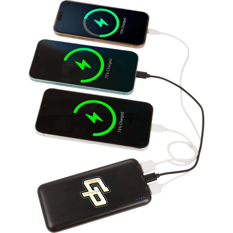 Dart Pro 15W 10000 mAh Power Bank - 2