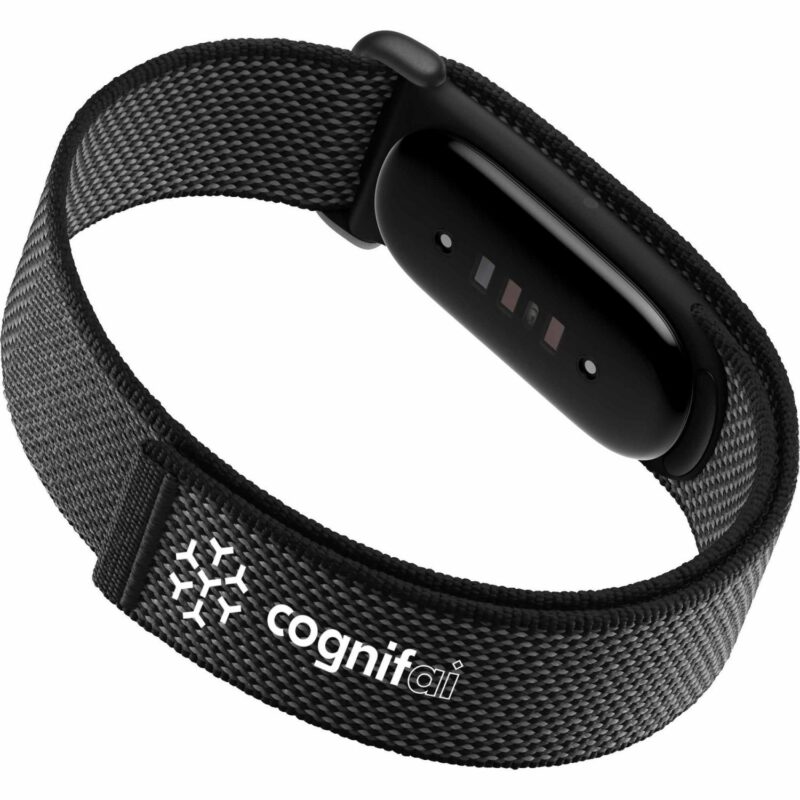 Google Fitbit Air - 2